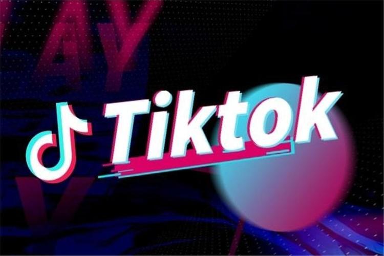Tiktok Star Q&A Interaction, Fans Ask A Variety Of Questions