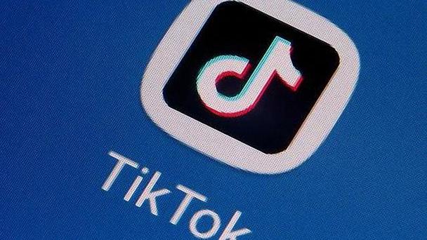 TikTok’s pet training videos are popular among pet owners