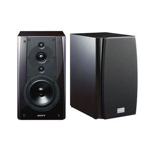 Sony Product Applications for Special Populations: Practicing Technology for All